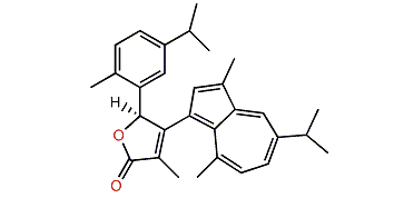 Anthogorgiene G